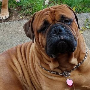 Meet your Posher, Jerry